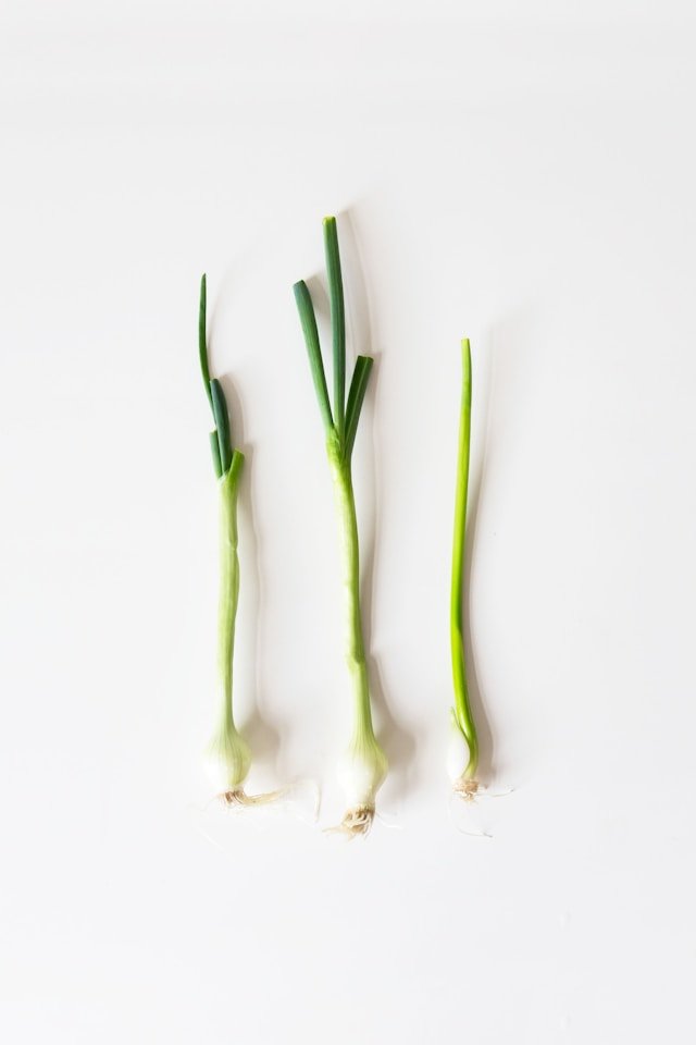 How to Store Green Onions and Keep Them Fresh
